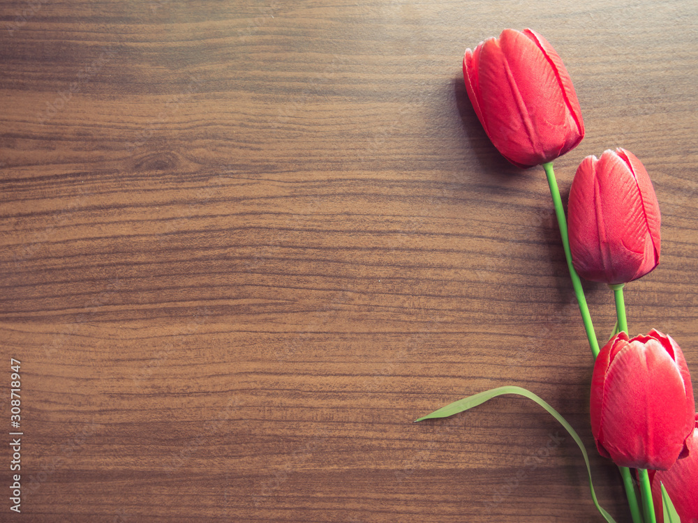 beautiful red tulip on wooden background with space for text