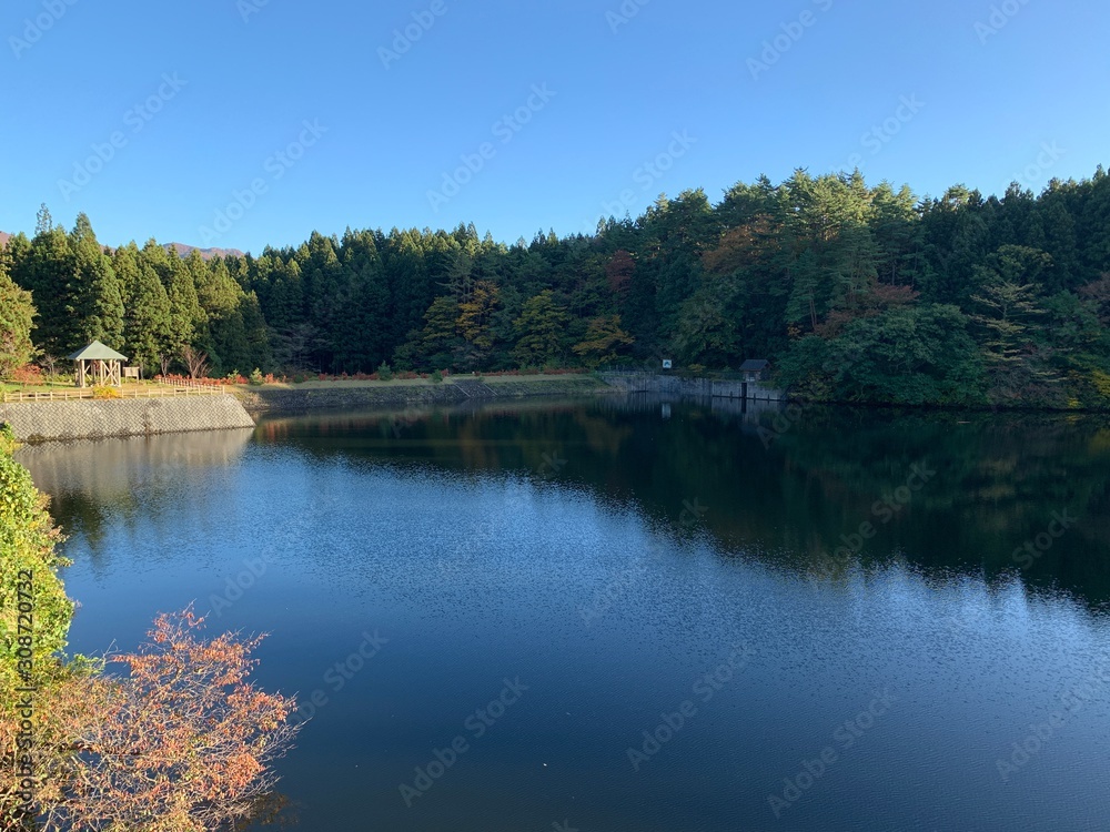 Obraz premium lake in the forest