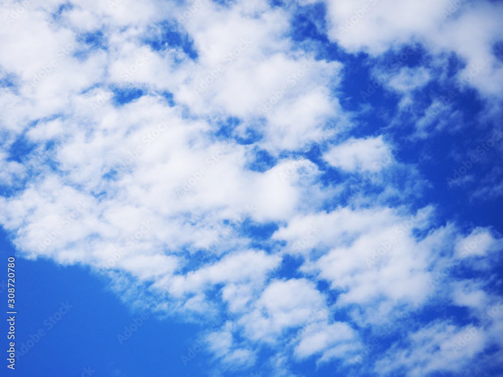 Obraz premium OLYMPUS DIGITAL CAMERA