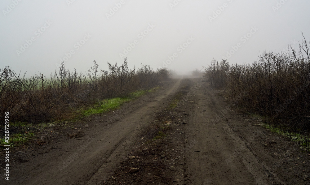 Fototapeta premium rural dirt road in foggy haze