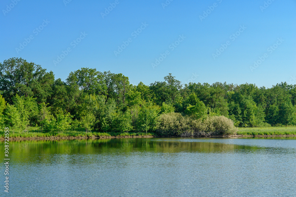 Calm forest lake on a quiet Sunny day. Summer landscape. Soft focus