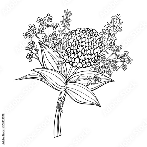 Boutonniere with outline ball of craspedia or billy buttons dried flower and leaf in black isolated on white background.