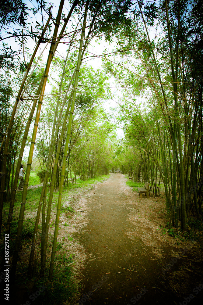 Obraz premium vietnam