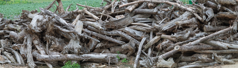 Dead wood chips on top of each other in a pile . Dead wood chips on top of each other in a pile .