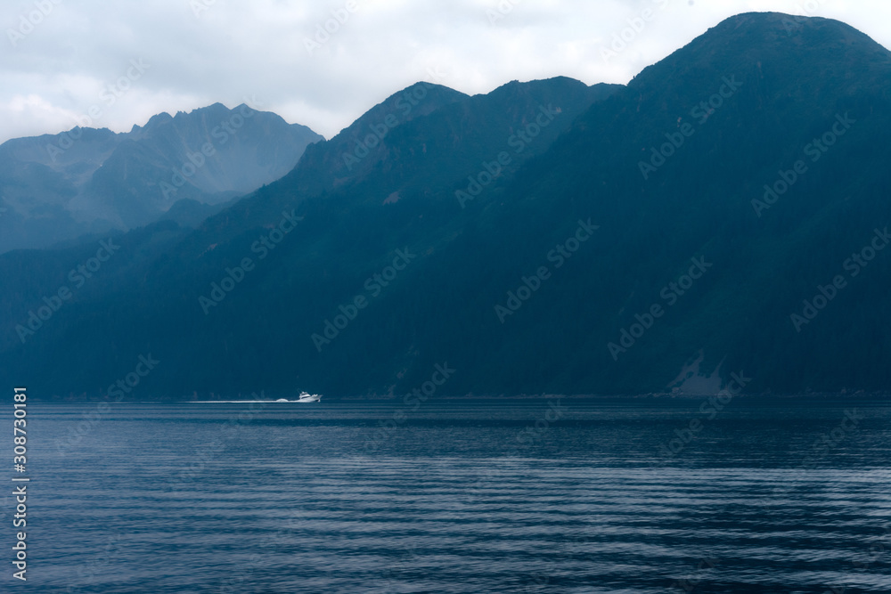 Resurection Bay, Kenai Fjords National Park, Seward Alaska
