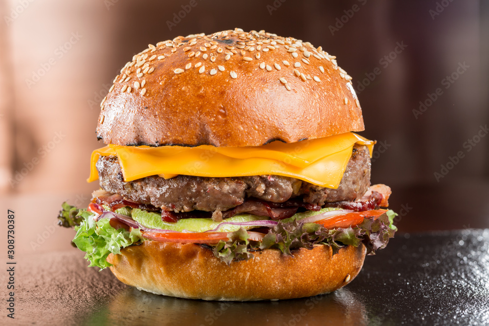 Obraz na plátně Beautiful fresh burger