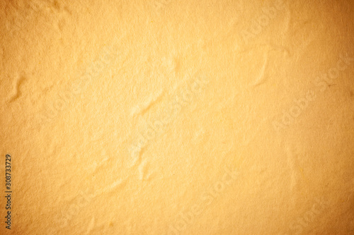 Yellow Mulberry paper background.