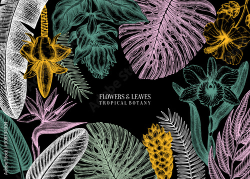Botanical summer design. Vector frame with tropical plants, exotic flowers, citrus fruits, palm leaves. Tropical flora colorful background. Isolated on black.