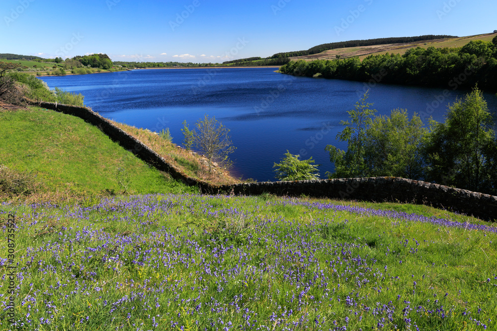 Fototapeta premium Spring view over Leighton Reservoir, Nidderdale, North Yorkshire, England, UK