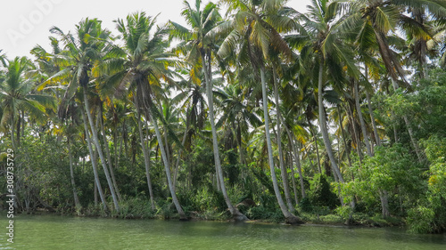 Back waters in South India