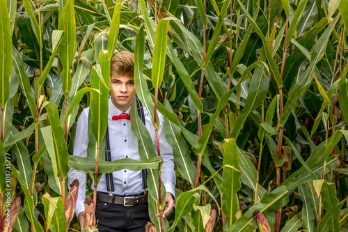 Fotótapéta Fashionable agriculture - young man with a red bow tie hiding in a cornfield