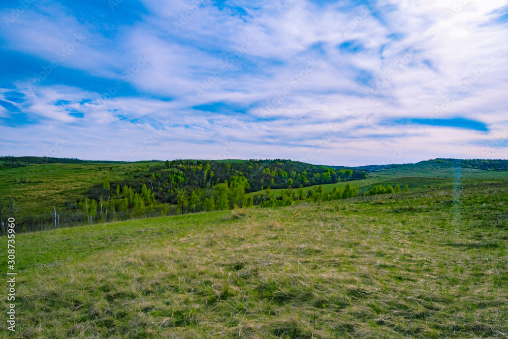 Clouds and forest