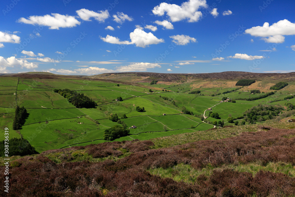 Fototapeta premium Summer view through Nidderdale ANOB, North Yorkshire, England.