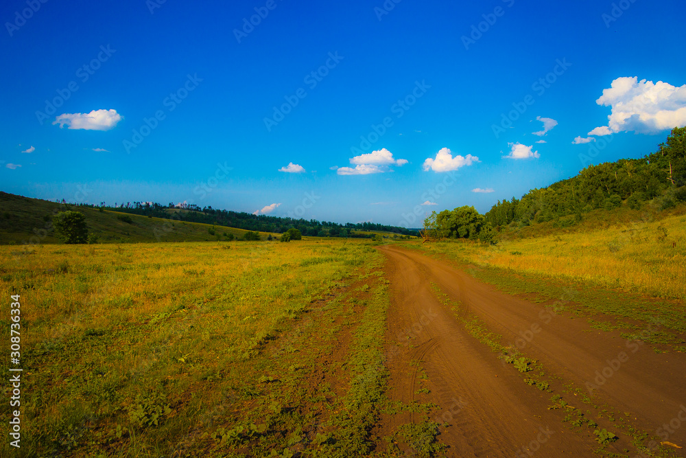 Fototapeta premium Road to field