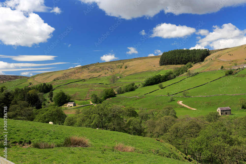 Summer view through Nidderdale ANOB, North Yorkshire, England. Summer view through Nidderdale ANOB, North Yorkshire, England.