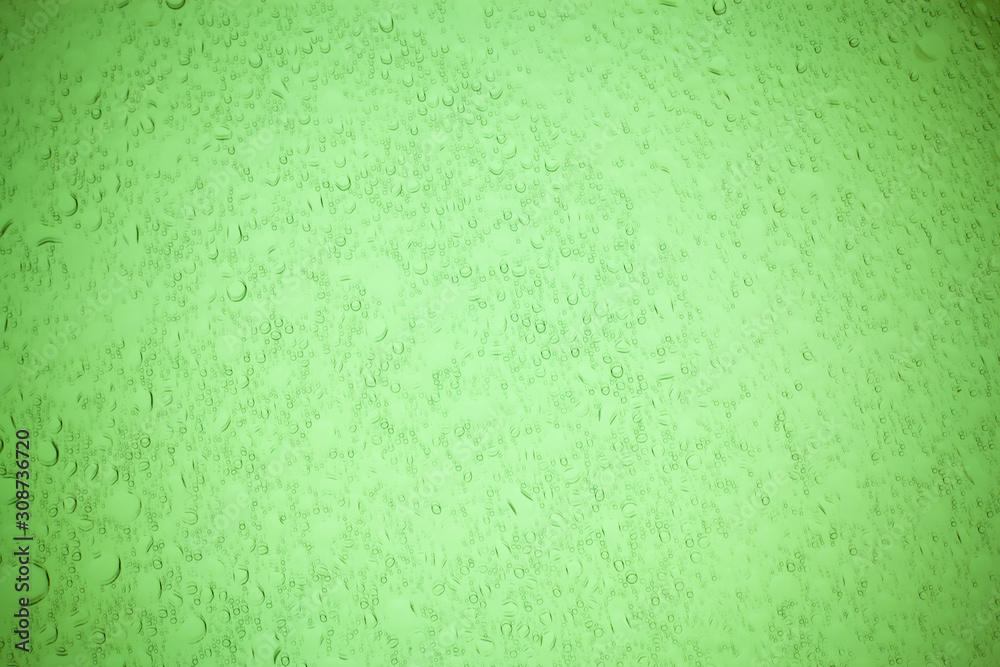 Obraz premium Rain droplets on green glass background, Water drops on green glass.