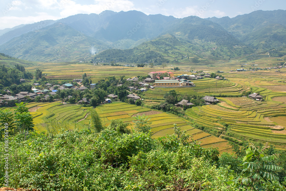 Green, brown, yellow and golden rice terrace fields of Tu Le valley, Northwest of Vietnam Green, brown, yellow and golden rice terrace fields of Tu Le valley, Northwest of Vietnam