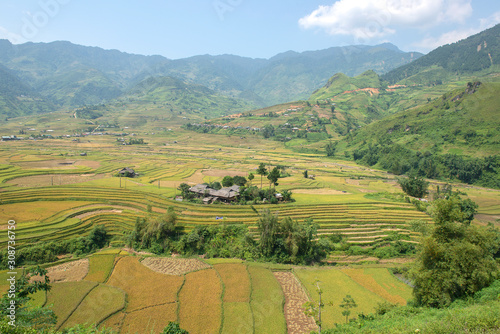 Green, brown, yellow and golden rice terrace fields of Tu Le valley, Northwest of Vietnam	