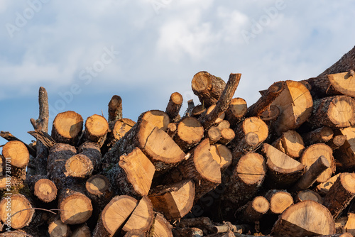 Close up logs outdoors.
