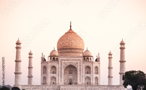 mausoleum Taj Mahal with tree no environment