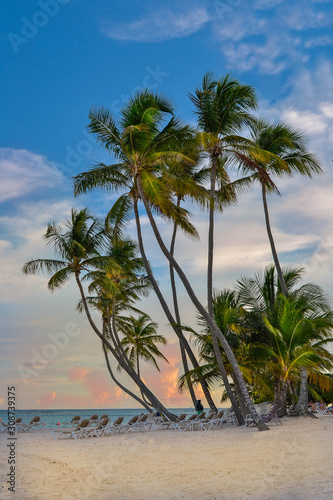 Palm trees  sea  ocean  Santo Domingo  Dominican Republic