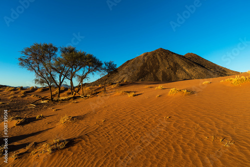 Red sand dune and black rocky kopje