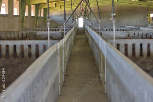 pig farm corridor in Cadiz