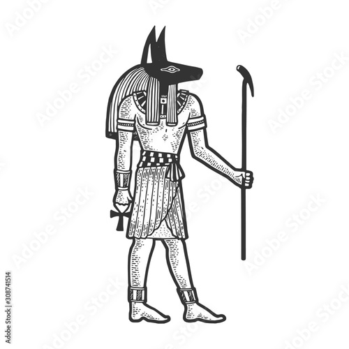 Obraz na plátně Anubis Ancient Egyptian deity god of death sketch engraving vector illustration