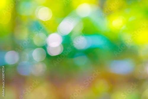 Blurred bokeh green. tree leaf forest sun light beam morning