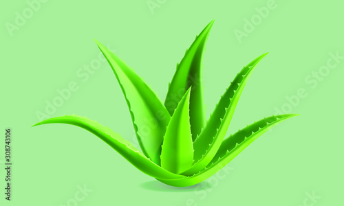 Green plant 
