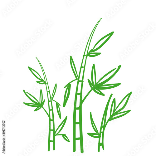 Fototapeta Naklejka Na Ścianę i Meble -  Handdrawn Bamboo Plant doodle style vector isolated Background