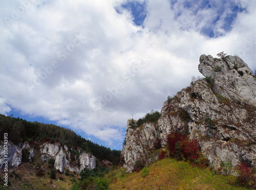 Kobylanska Valley, Jura Krakowsko - Czestochowska region, Poland photo