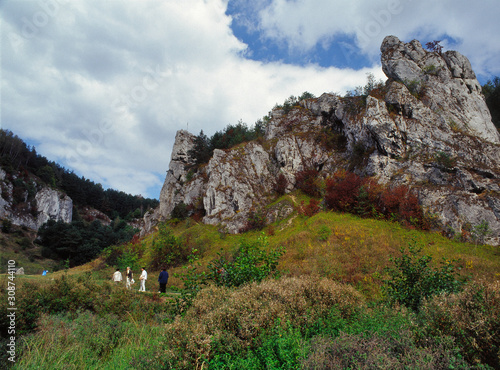 Kobylanska Valley, Jura Krakowsko - Czestochowska region, Poland photo