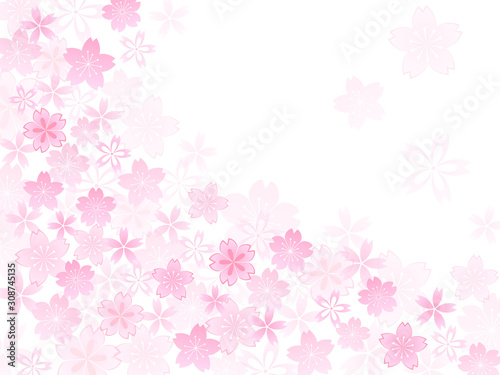 桜と扇子