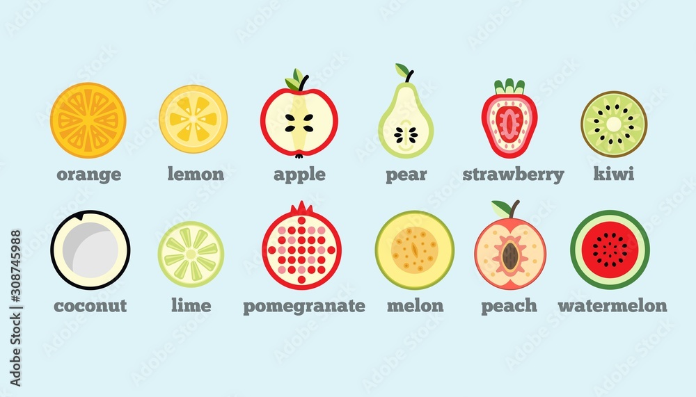 Various tasty fruits, berries, coconut. Cut in half. Minimalistic icons, logos. Colorful vector set. Cartoon style, simple flat design. Trendy illustration. Every icon is isolated on a blue background