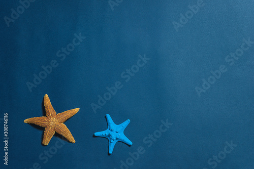 Beach holidays concept. Two starfishes on the dark blue background. Copy space, flat lay