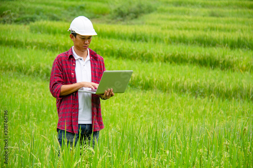 Smart farming.Young Asian male agronomist or agricultural engineer observing green rice field with laptop for the agronomy research. Agriculture and technology concepts