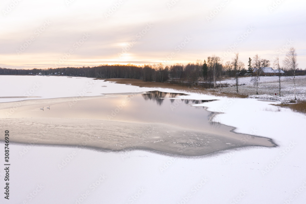 A couple of Mute swans (Cygnus olor) on a partially frozen lake at sunrise. Tartu, Estonia.