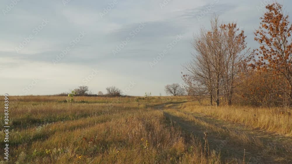 Country dirt road in autumn day with cloudy sky Country dirt road in autumn day with cloudy sky