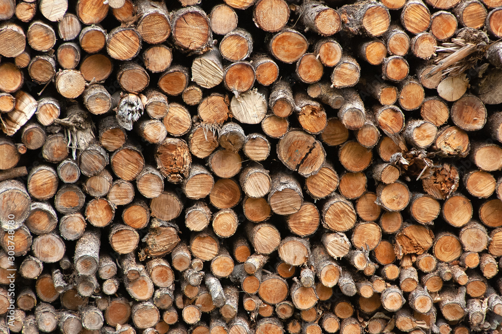 Stack of chopped tree branches ready to burn