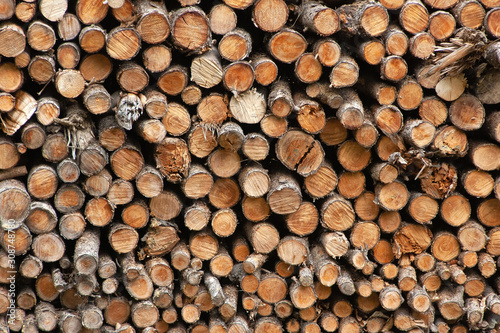 Stack of chopped tree branches ready to burn