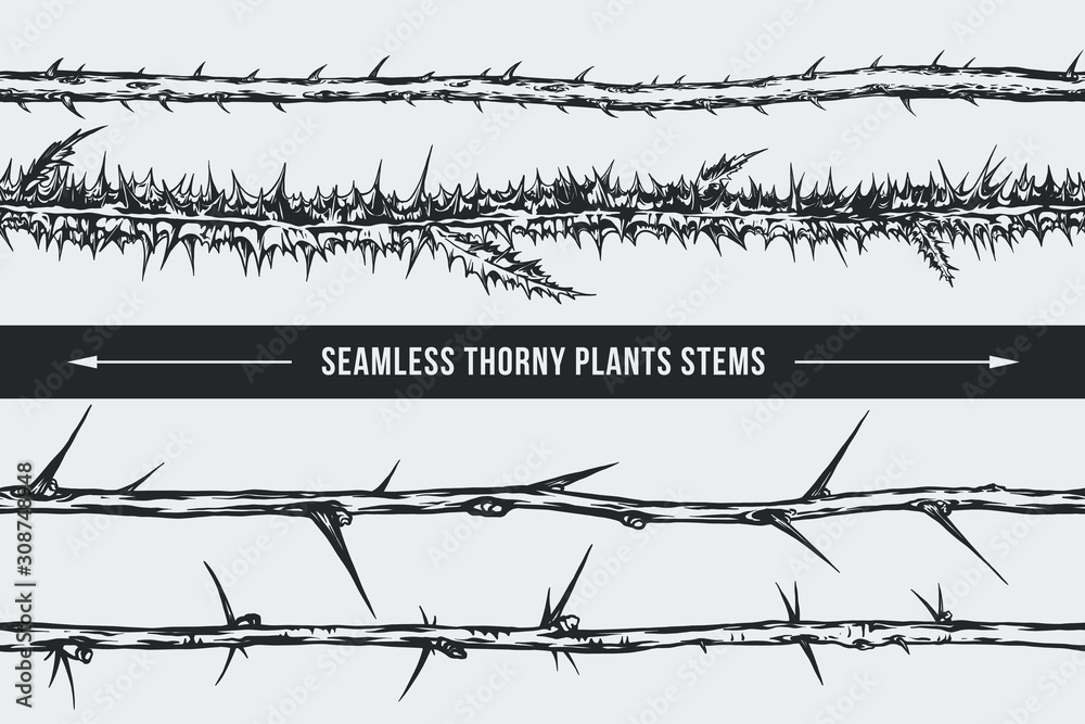 Seamless thorny plants stems vector isolated illustration. Blackberry,  thistle, plum, gooseberry. Great graphic element for your tattoo, poster,  logo design. Stock Vector | Adobe Stock
