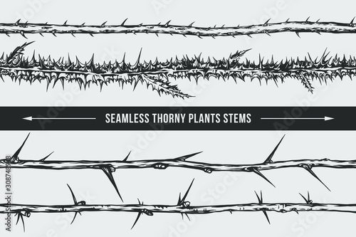 Seamless thorny plants stems vector isolated illustration. Blackberry, thistle, plum, gooseberry. Great graphic element for your tattoo, poster, logo design.