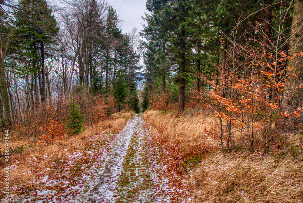 hiking trail in the mountains covered with a little snow hiking trail in the mountains covered with a little snow