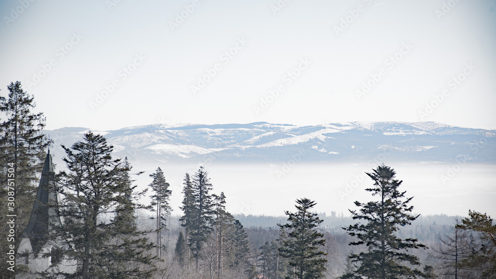 forest and mountain in winter inversion