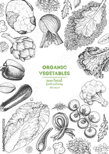 Vegetables top view frame. Farmers market menu design template. Organic vegetables food poster. Vintage hand drawn sketch vector illustration. Line art graphic. Engraved style.