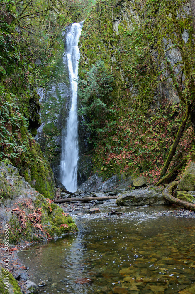 Fototapeta premium Beautiful Waterfall surrounded by Trees in Goldstream Provincial Park