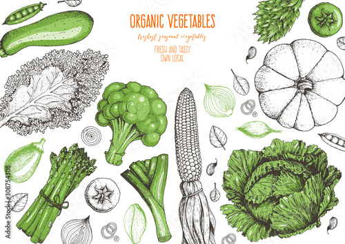 Vegetables top view frame. Farmers market menu design template. Organic vegetables food poster. Vintage hand drawn sketch vector illustration. Line art graphic. Engraved style.