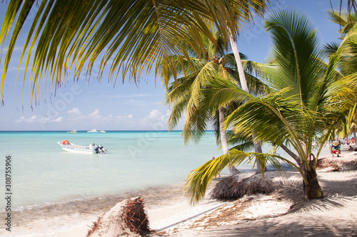 Dominican Republic Caribbean Coastline tropical beach