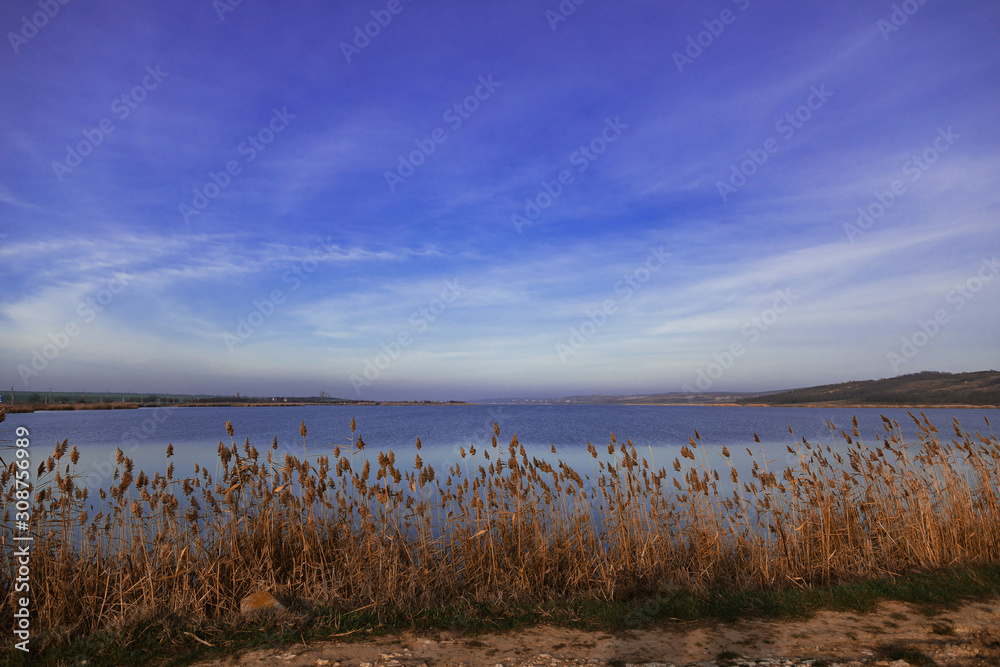 view of the sky above the lake through dry tall grass